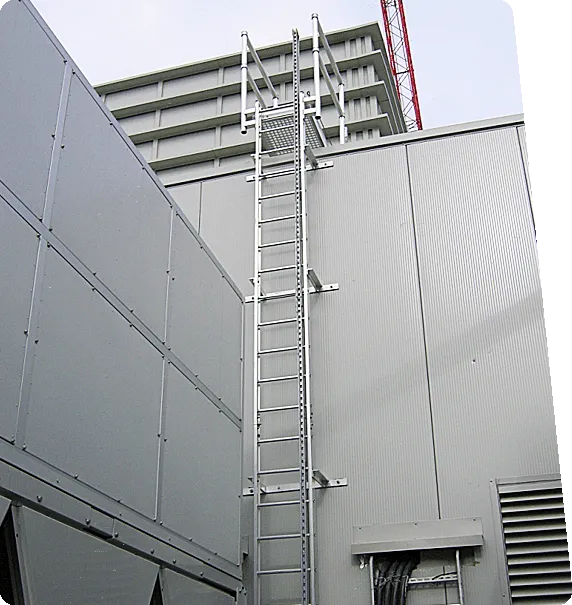 Walkway & Ladder